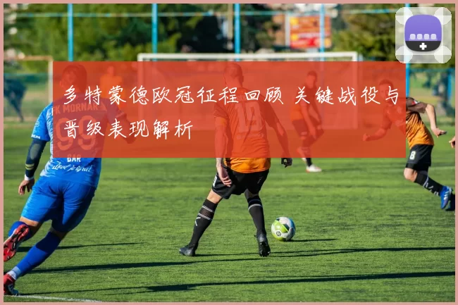 多特蒙德欧冠征程回顾 关键战役与晋级表现解析