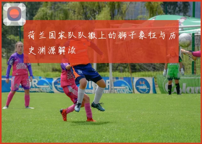 荷兰国家队队徽上的狮子象征与历史渊源解读